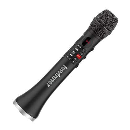 lewinner karaoke microphone